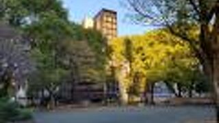 オフィス街の中の公園