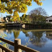 大人の憩いの場は子供楽しめる区民の公園