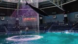 キラキラ水族館