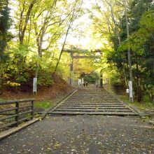 両脇の紅葉がとてもきれいな参道そして大鳥居方面風景