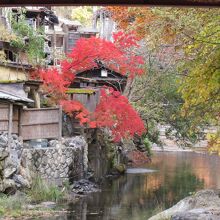 対岸の紅葉が綺麗でした