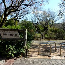 公園の入り口の様子です。