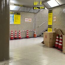 ダンボールが至る所に