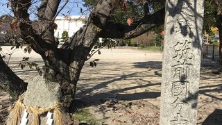 筑前国分寺跡（福岡県太宰府）：見事な礎石が残る