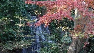 北区のオアシス