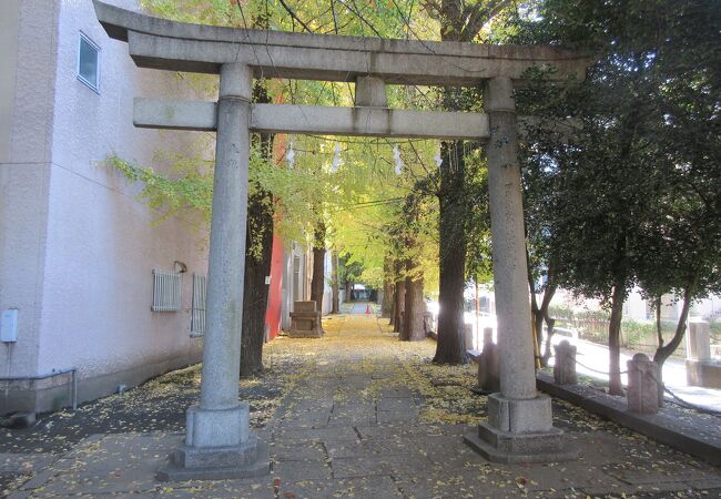 長い参道が印象的な神社です