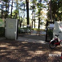 公園の入り口です。都立石神井公園からです。