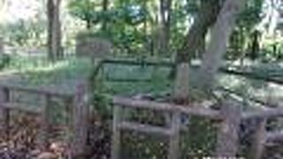 石神井公園の中にあります。