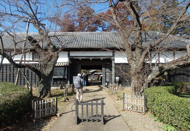 柏散策で旧吉田家住宅歴史公園に行きました