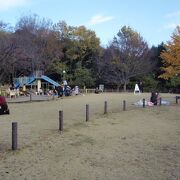 目黒散策で菅刈公園に寄りました