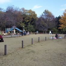 菅刈公園遊具