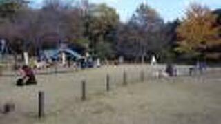 目黒散策で菅刈公園に寄りました