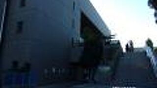 練馬区立美術の森緑地の中にあります。