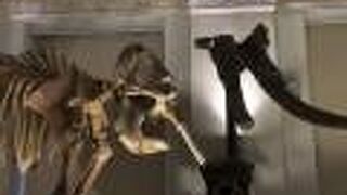 国立台湾博物館 土銀展示館