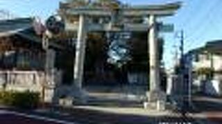 大ケヤキが存在感を見せています。