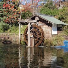 鍋島松濤公園池の水車