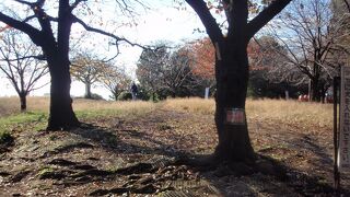 目黒散策で西郷山公園に寄りました
