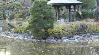日比谷公園のオアシス