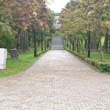 樺太神社参道　昔の写真と瓜二つ