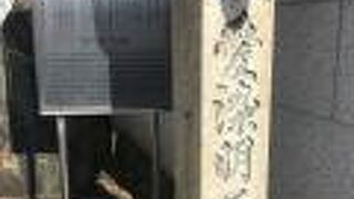 「花も嵐も踏み越えて♪♪  」