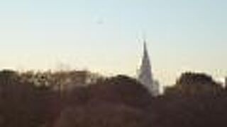 夕陽を浴びて美しい姿でした