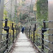 都心から近く、気軽に登れる山