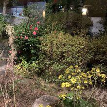 お庭が見えます