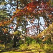 関東十八壇林と呼ばれ紅葉が美しい。