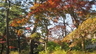 関東十八壇林と呼ばれ紅葉が美しい。