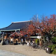 桜とイチョウの紅葉