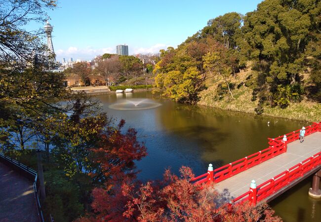 河底池と茶臼山の眺望は絶景