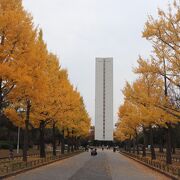 世界遺産の古墳群