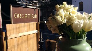 Cafe Organism