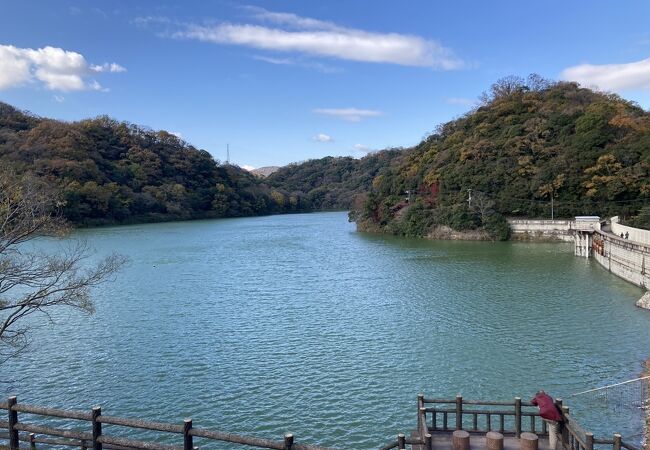 烏原貯水池を眺めながらファンラン！豊富な水と青い空！いい眺めです