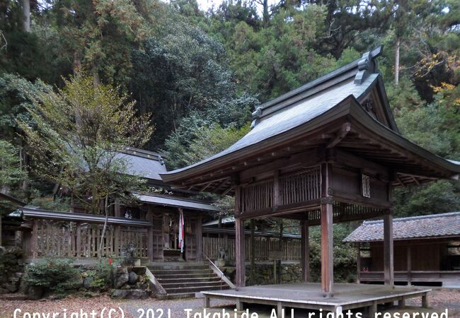 巨大な銀杏が目印