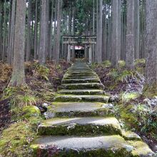 賀茂神社