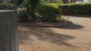 国分尼寺跡が目の前にある