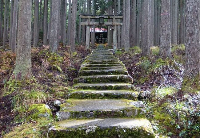 賀茂神社