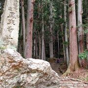 登りはきつく、下りは怖い