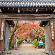 明智光秀の菩提寺　もみじトンネル