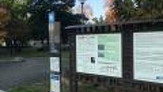 住吉祭礼図屏風