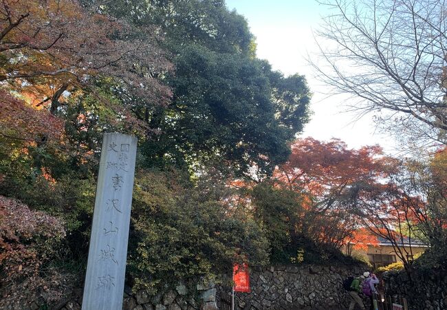 唐沢山神社