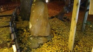 兼六園にありました。