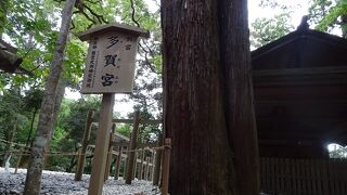 伊勢神宮に参拝した。