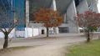 園内の木の紅葉がさりげなく綺麗