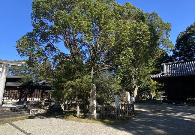 院庄館跡