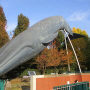 大きなクジラのモニュメントがあります