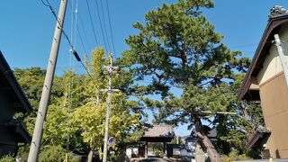 山門以外は火事で焼失