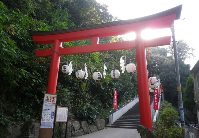 富岡八幡宮 クチコミ アクセス 営業時間 八景島 フォートラベル