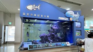 那覇空港に国営沖縄記念公園の水槽がありました！ JALアプリ「Wellness＆Travel」のチェックイン・チャレンジも忘れずに！